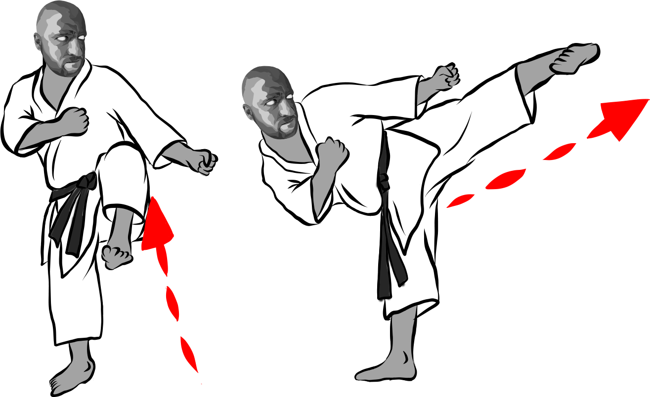 Yoko geri kekomi (Side Thrust Kick)